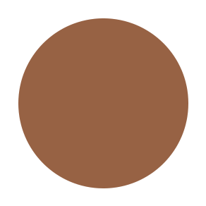 PINNACLE-Liquid Concealer