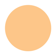 PINNACLE-Liquid Concealer