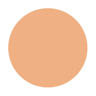 PINNACLE-Liquid Concealer